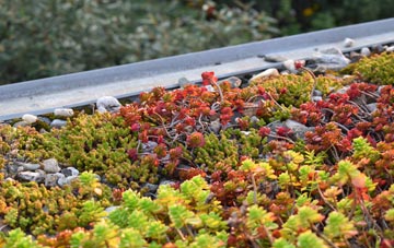 the cost of Norleywood green roof installation