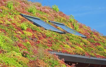 Norleywood living roof systems