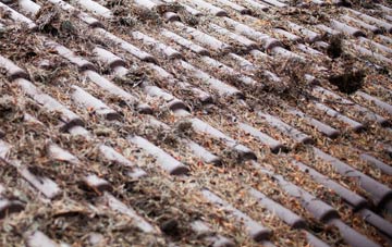 Norleywood roof cleaning companies